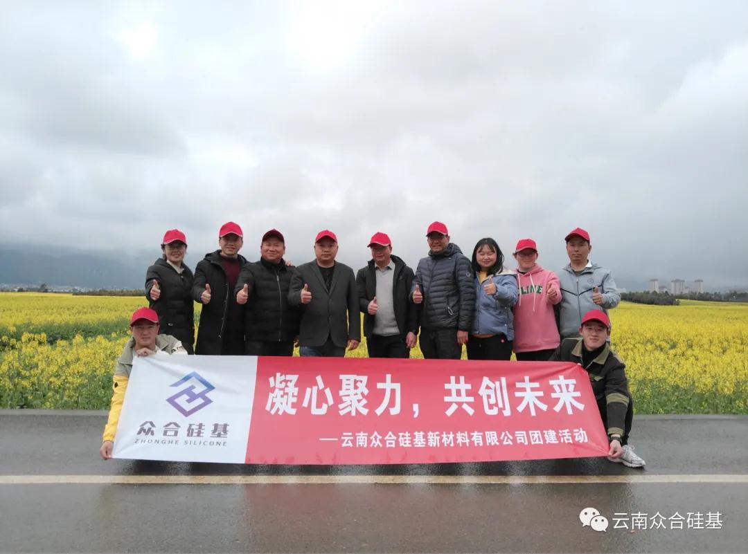 凝心聚力，共创未来-江苏众合硅基新材料
